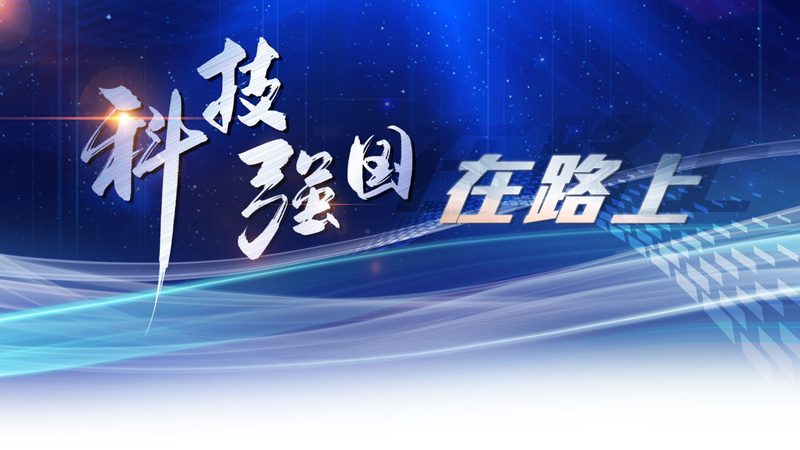 揭秘数据仓库报表开发：如何选择优质厂家